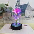 EverRose™ LED Eternal Beauty Dome