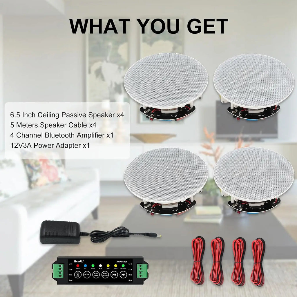 Herdio AuraSound™ Premium Ceiling Audio System