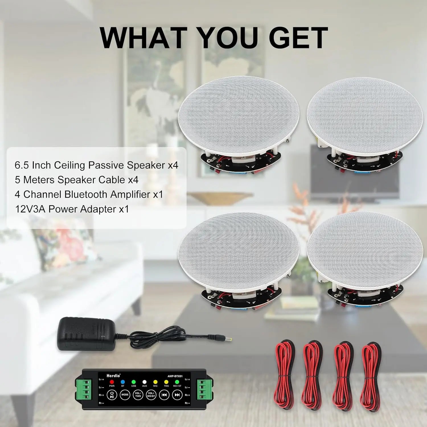 Herdio AuraSound™ Premium Ceiling Audio System